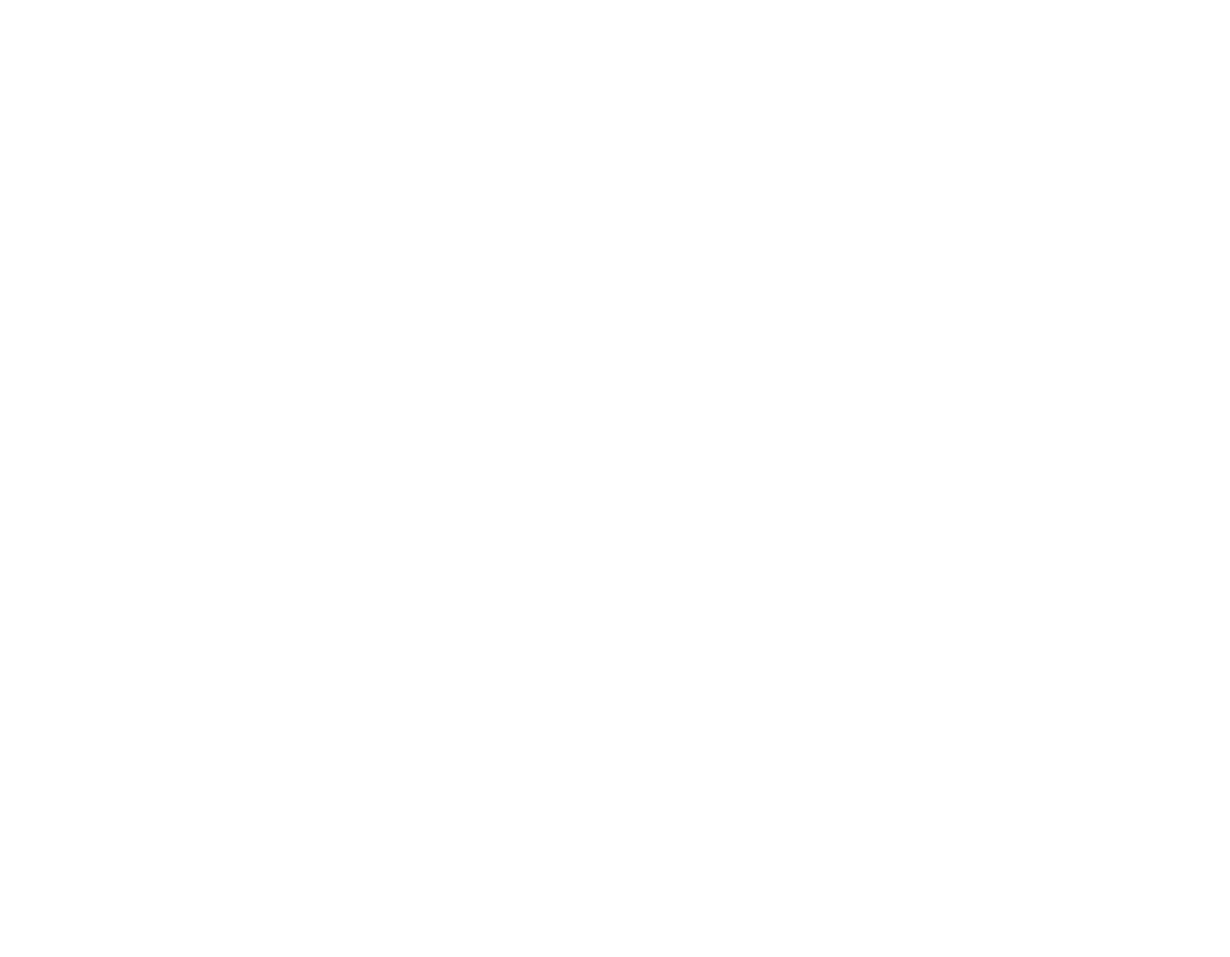 ProSolution_cgp02 copy 2proS